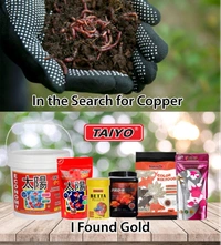 TAIYO GROW FISH FOOD 100G